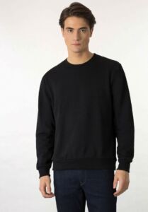 Sweatshirt 10042505