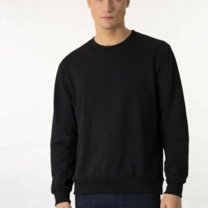 Sweatshirt 10042505