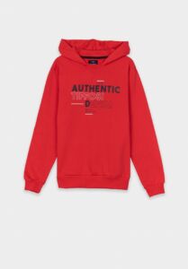 Sweatshirt 10040789